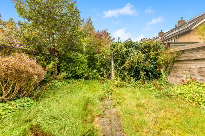 Photo 29 of Scheerling 8