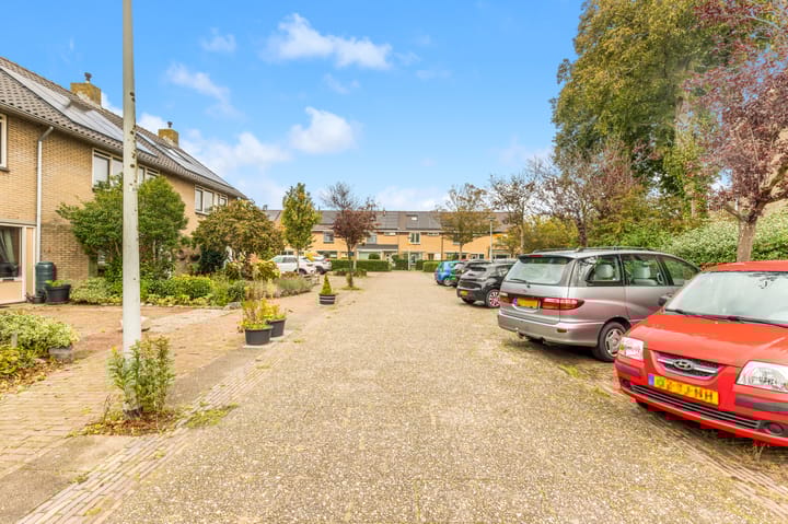 Photo 32 of Scheerling 8