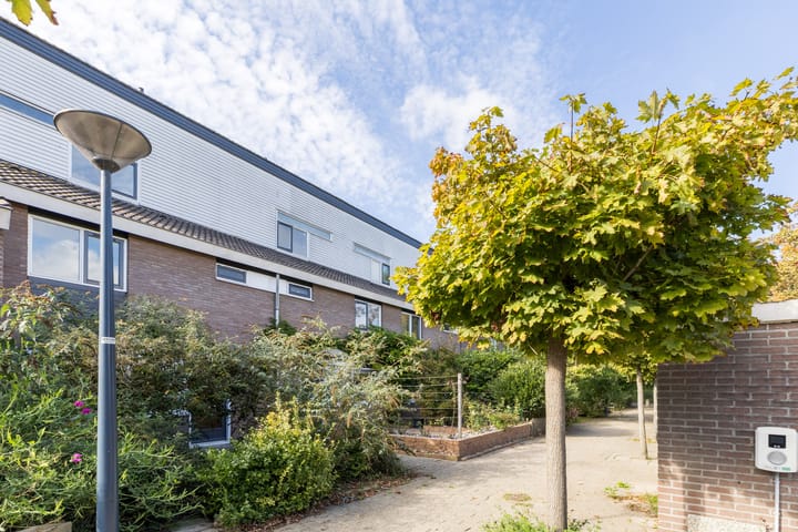 Foto 35 van Boogschutter 173