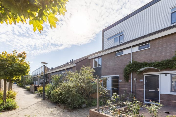 Foto 36 van Boogschutter 173