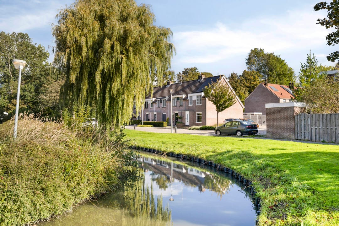 Foto 37 van Sleutelbloem 31