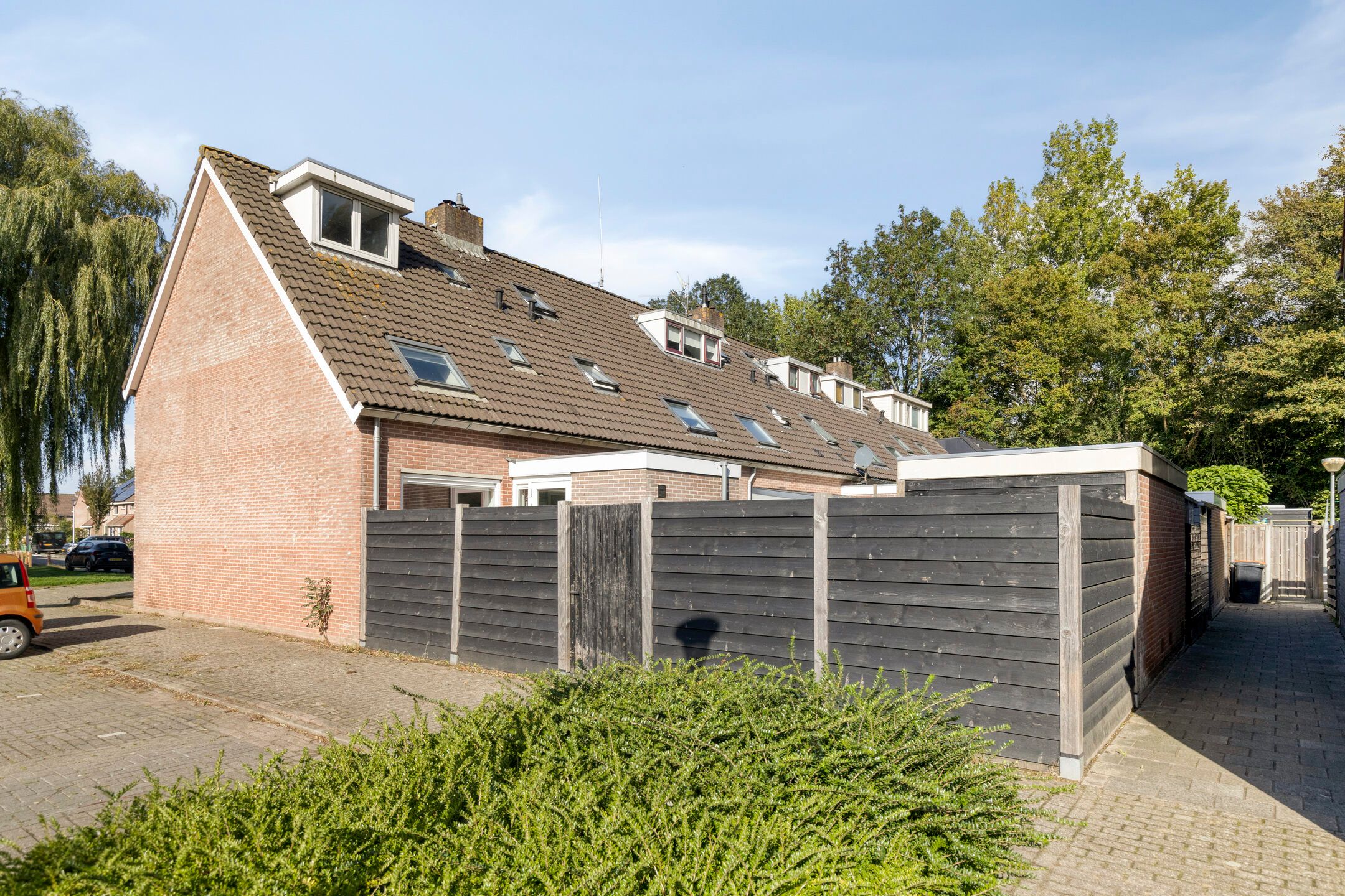 Foto 33 van Sleutelbloem 31