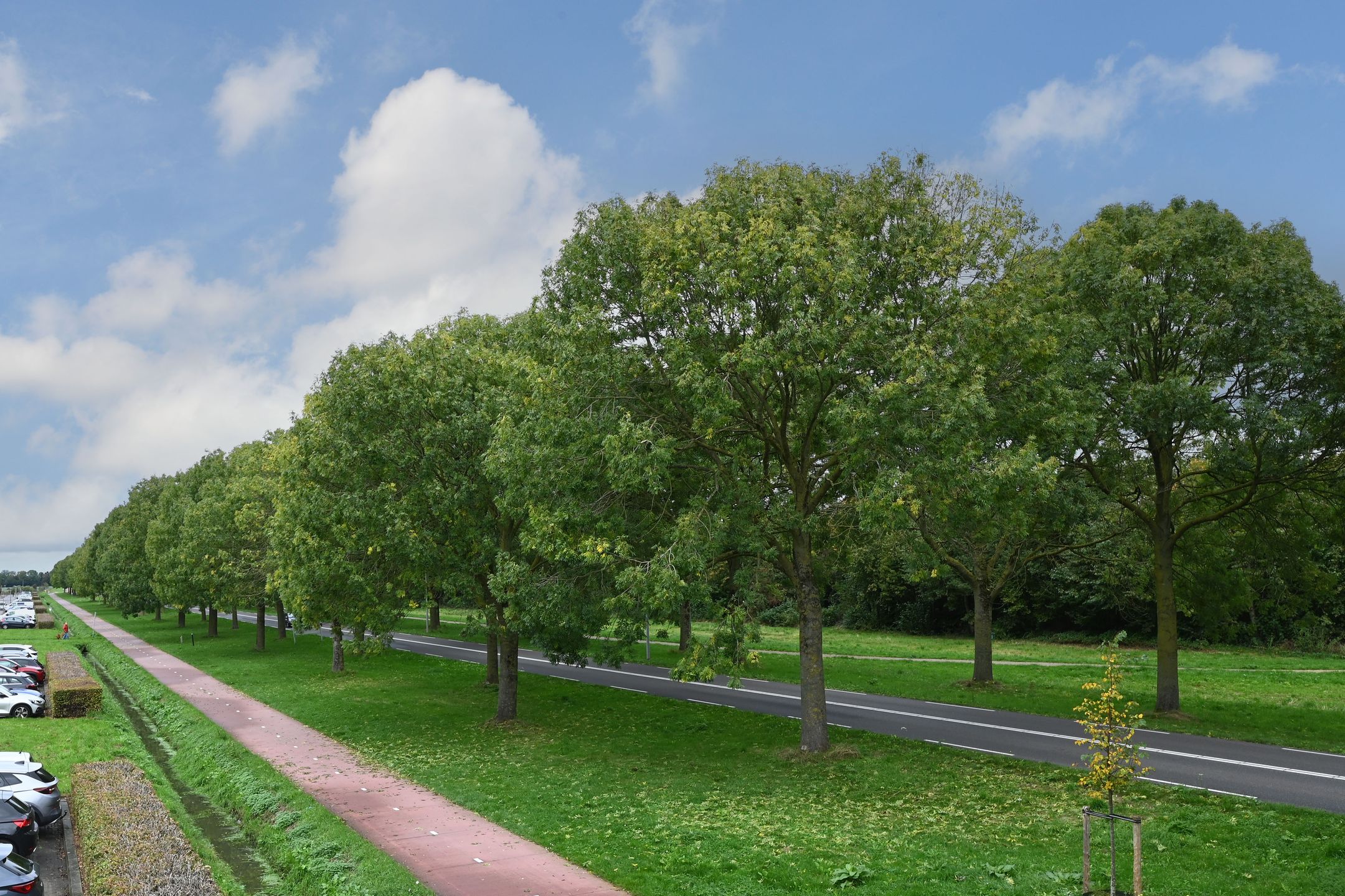 Foto 30 van Koolzaadlaan 19