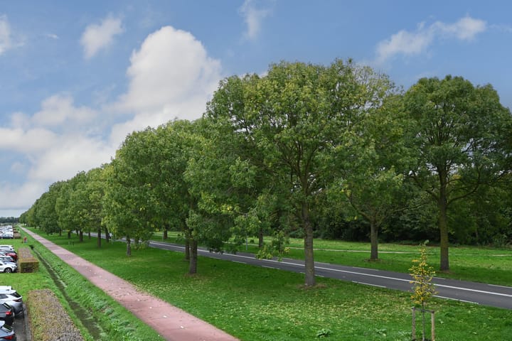 Foto 30 van Koolzaadlaan 19