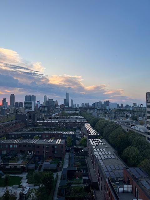 Foto 34 van Rosestraat 1297