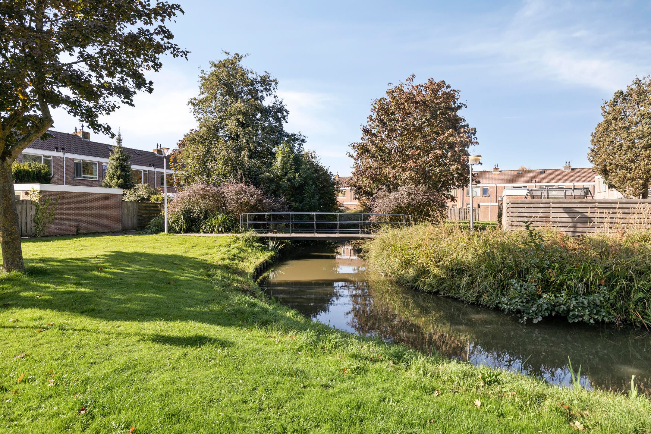 Foto 39 van Sleutelbloem 31