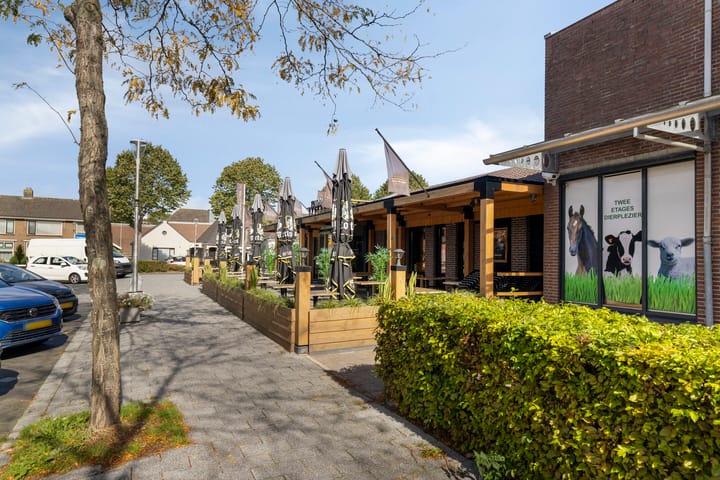 Photo 41 of Sleutelbloem 31