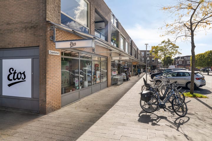 Photo 42 of Sleutelbloem 31