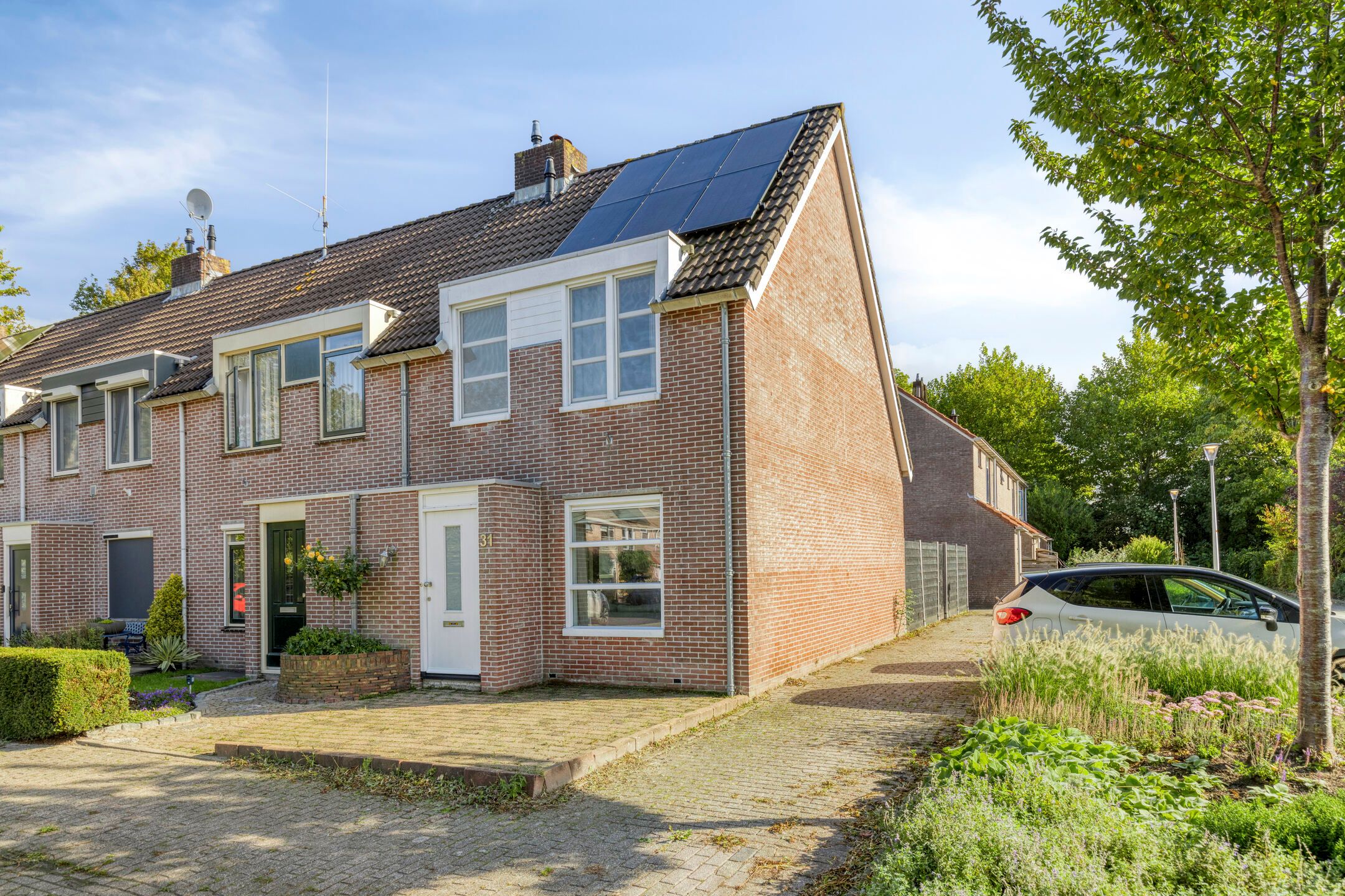 Foto 6 van Sleutelbloem 31