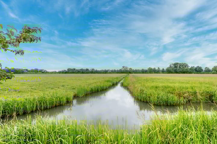 Foto 35 van Polderweg 4