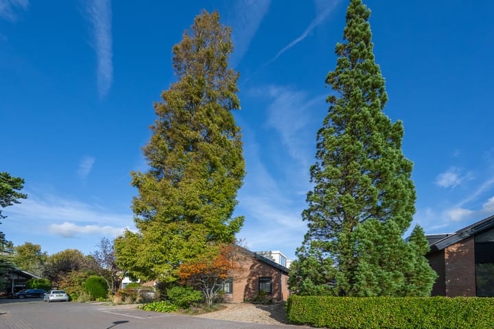 Foto 45 van Mercuryplein 3