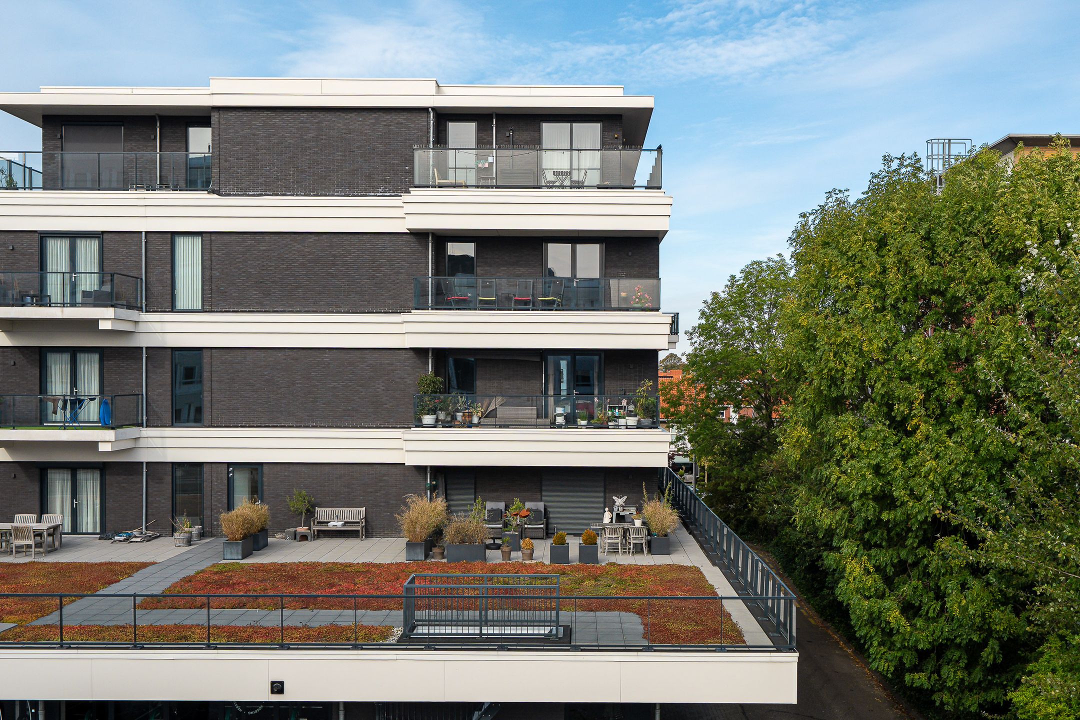 Foto 36 van Tesselschadestraat 41-B