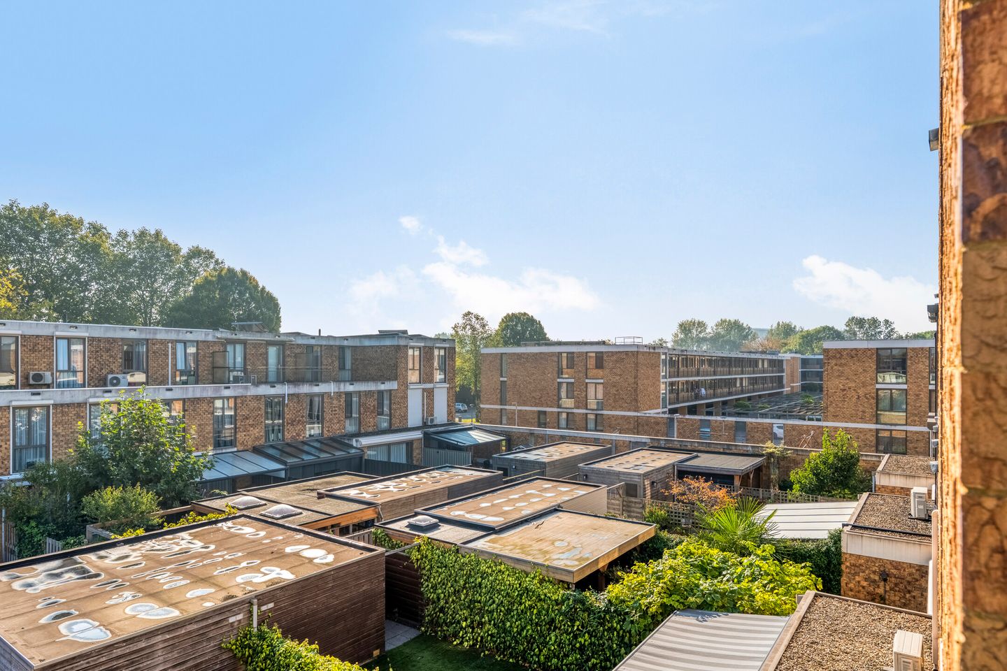 Foto 35 van Meerkoetstraat 89