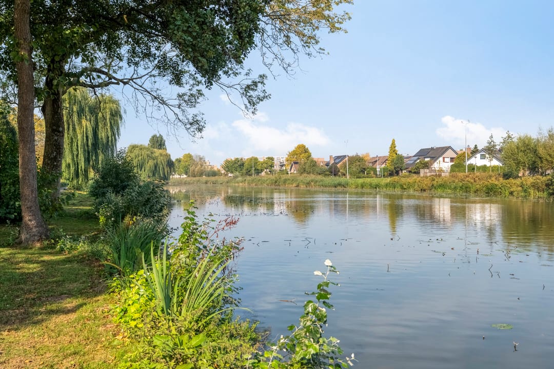 Foto 37 van Meerkoetstraat 89