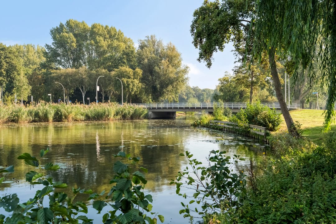 Foto 38 van Meerkoetstraat 89