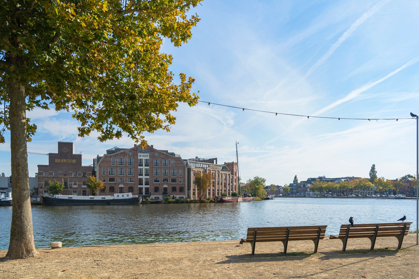 Foto 29 van Dick Laanplein 5