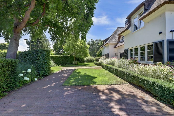 Foto 63 van Stuifketel 8