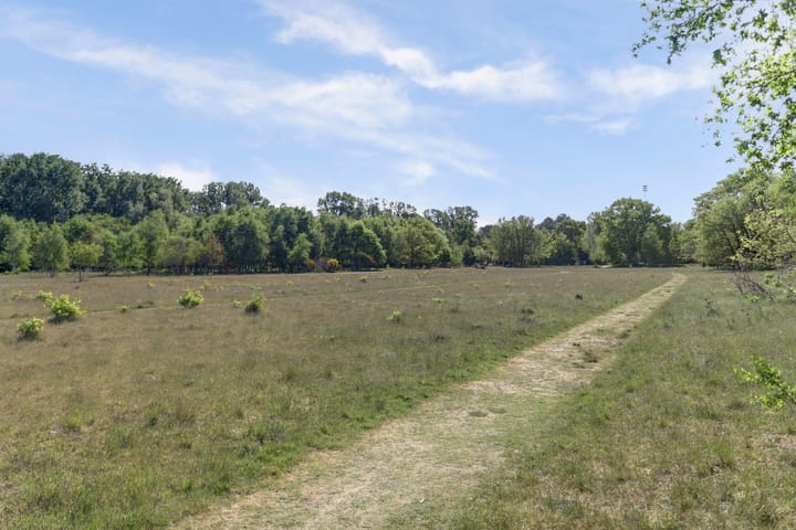 Foto 69 van Stuifketel 8