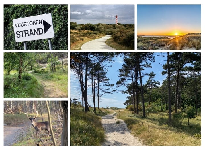 Foto 73 van Stuifketel 8