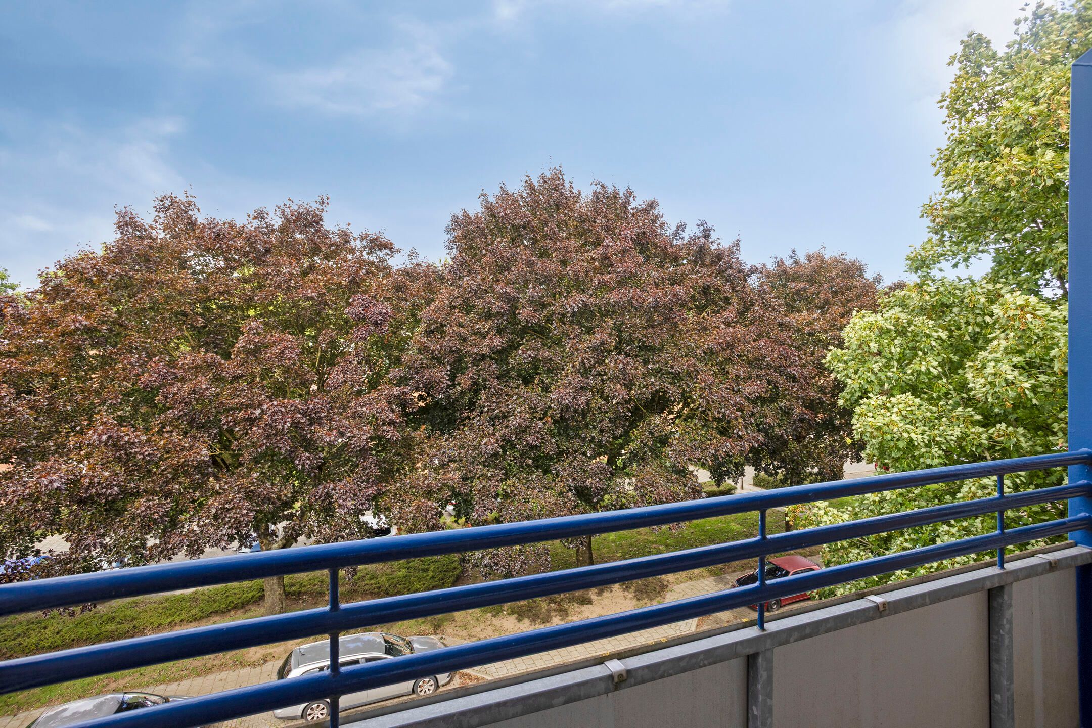 Photo 15 of Leliestraat 41