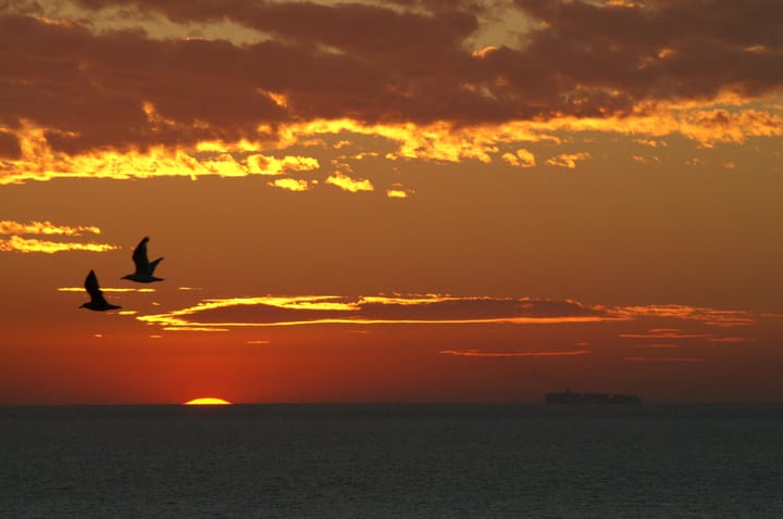 Foto 48 van Gevers Deynootplein 218