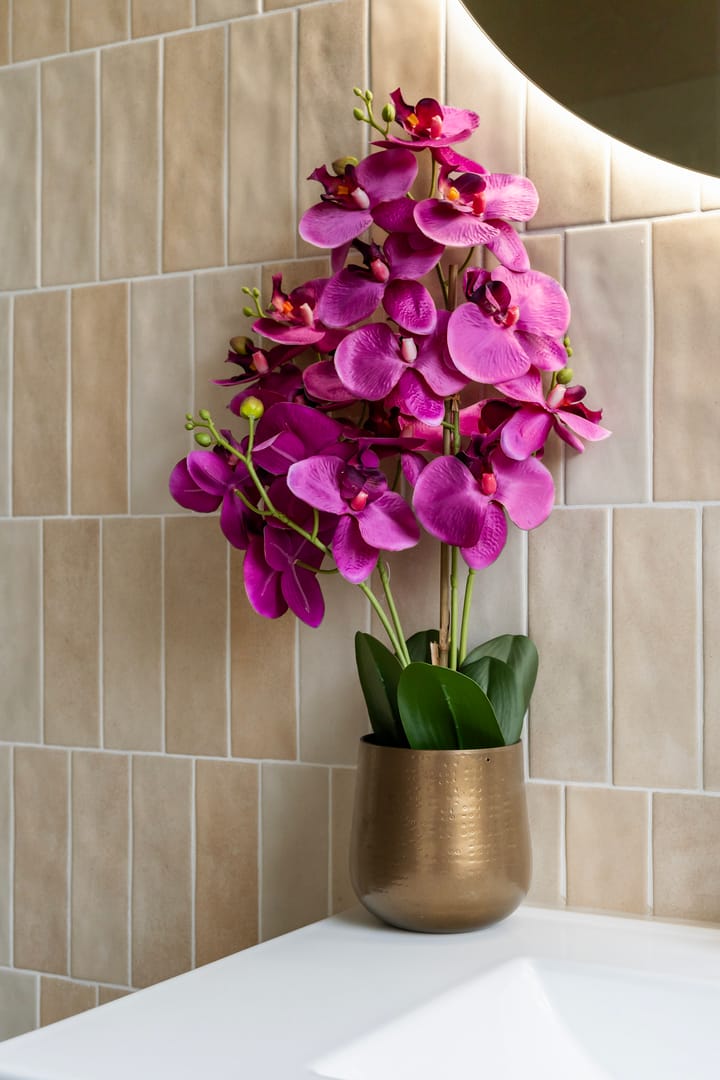 Photo 30 of Loosduinsekade 166-A