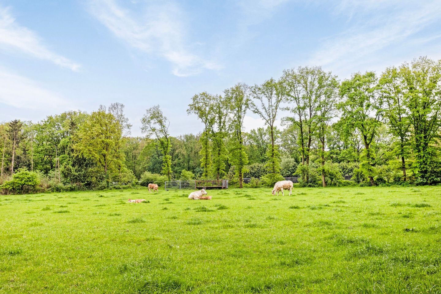 Foto 24 van Loverensestraat 11-RA4