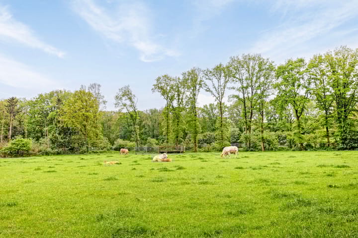 Photo 24 of Loverensestraat 11-RA4