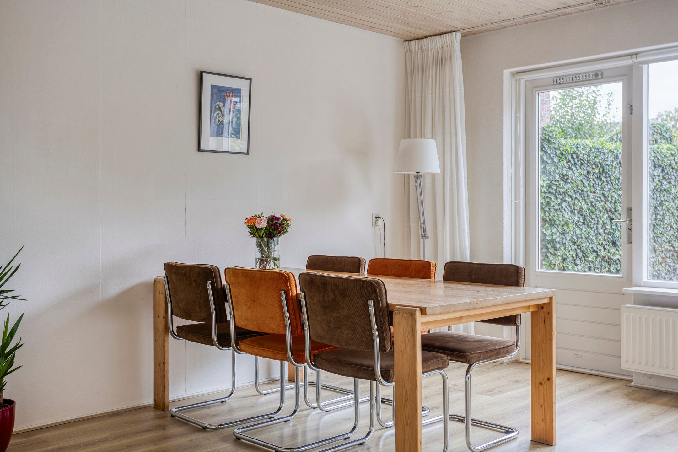 Foto 15 van Brink 20