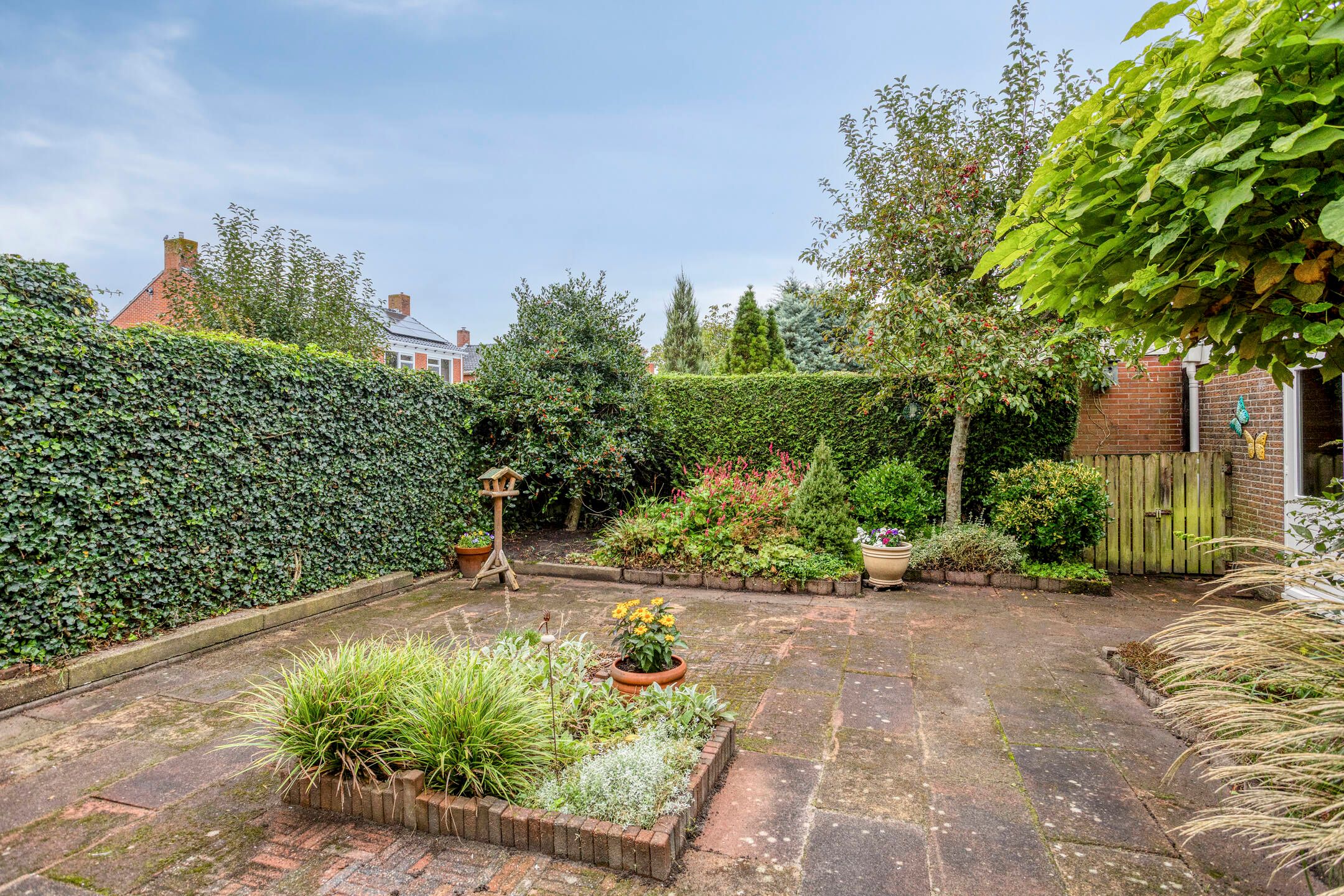 Foto 39 van Brink 20