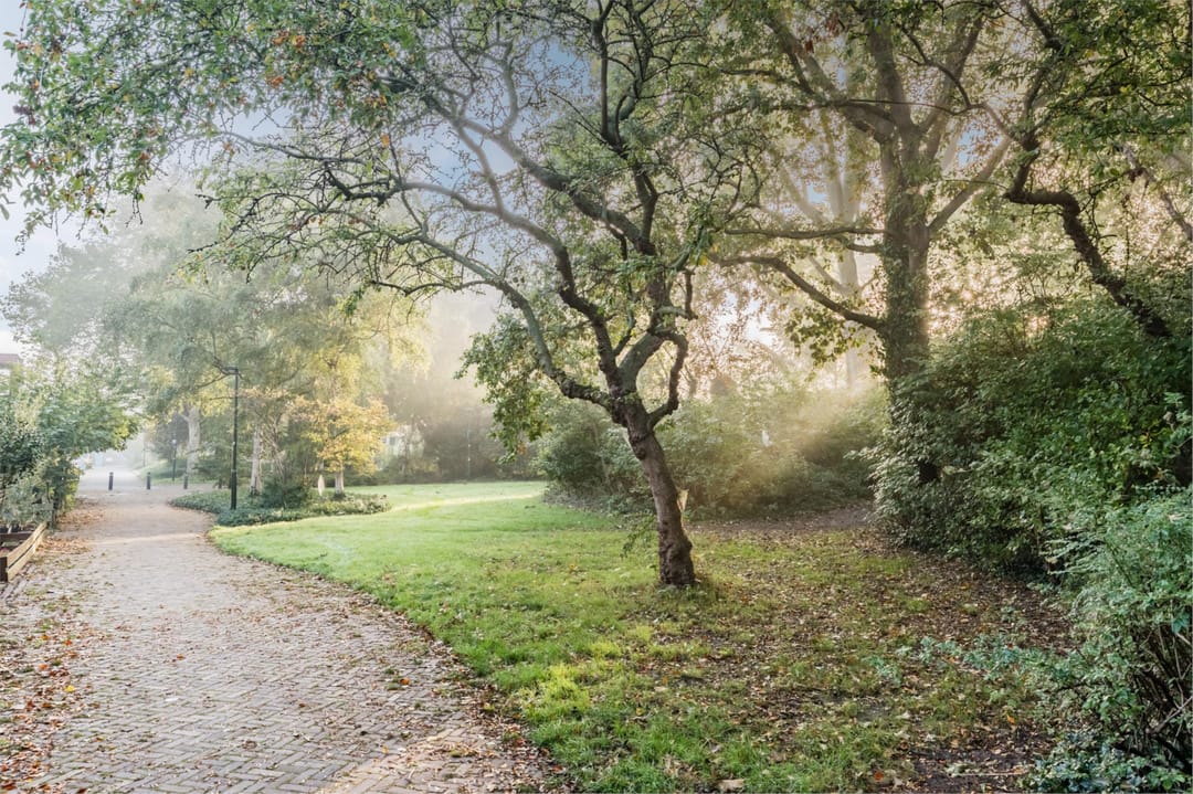 Foto 62 van Prins Hendriklaan 60