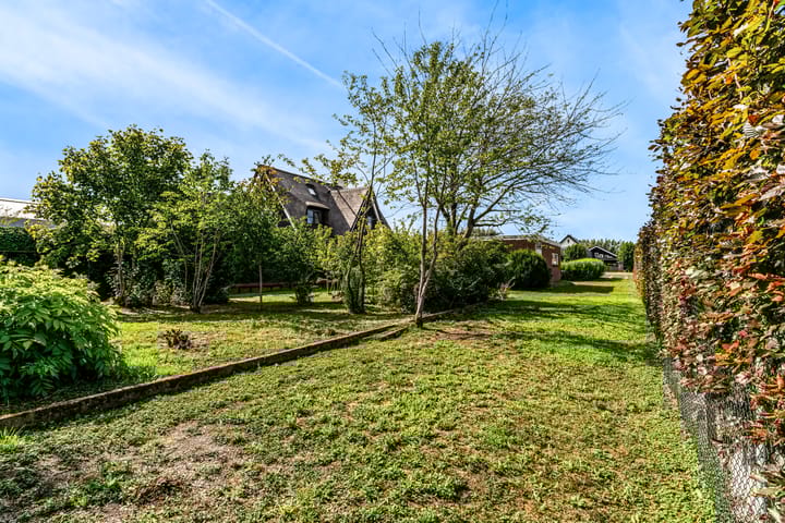 Foto 5 van Aalsmeerderweg 420