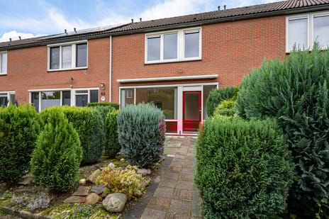 undefined main image