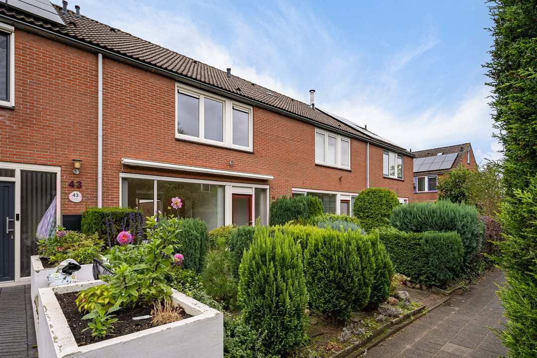 Foto 2 van Knottenplat 44