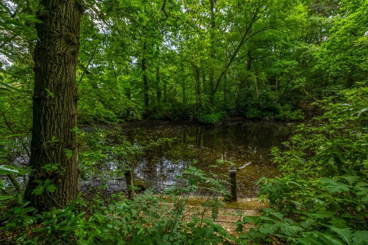 Foto 70 van Halderheiweg 15