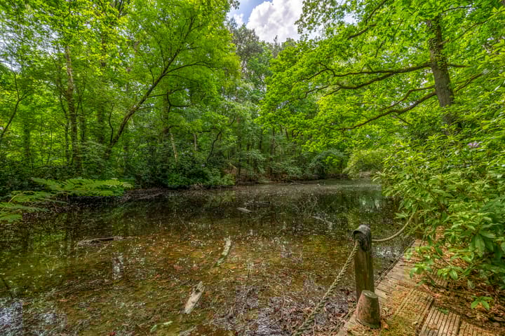 Foto 71 van Halderheiweg 15