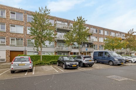 Cantondreef thumbnail