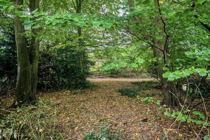 Photo 32 of De Morinel 402