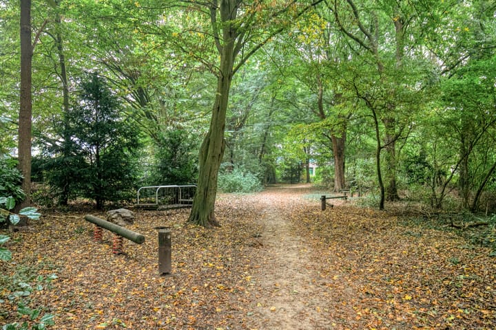 Photo 34 of De Morinel 402