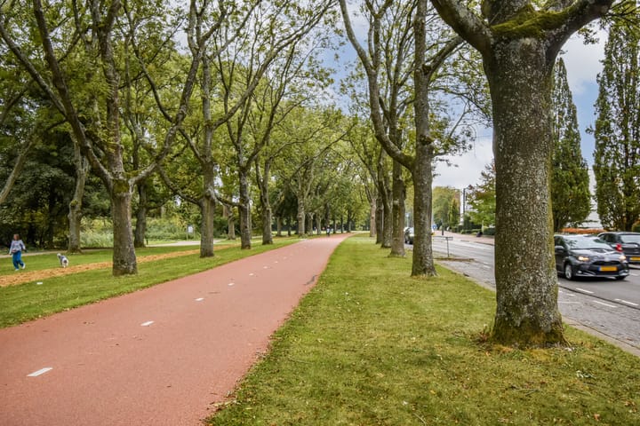 Photo 25 of 1e Jerichostraat 91-A02