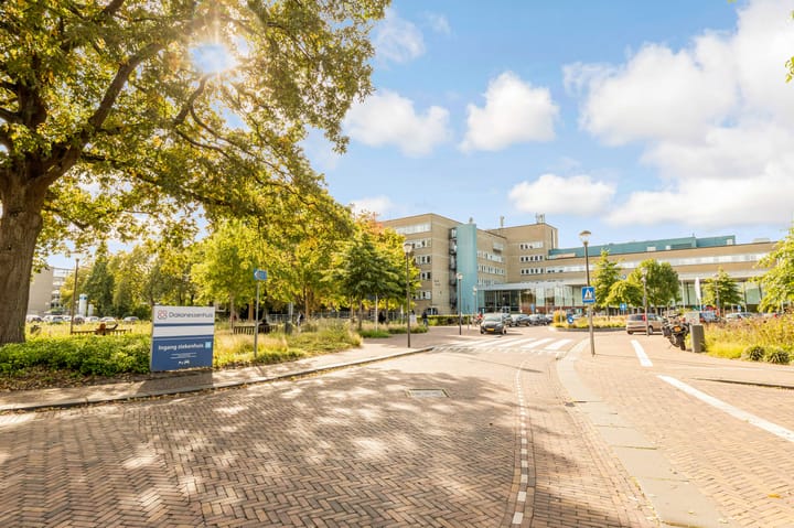 Foto 18 van Adriaen van Ostadelaan 117