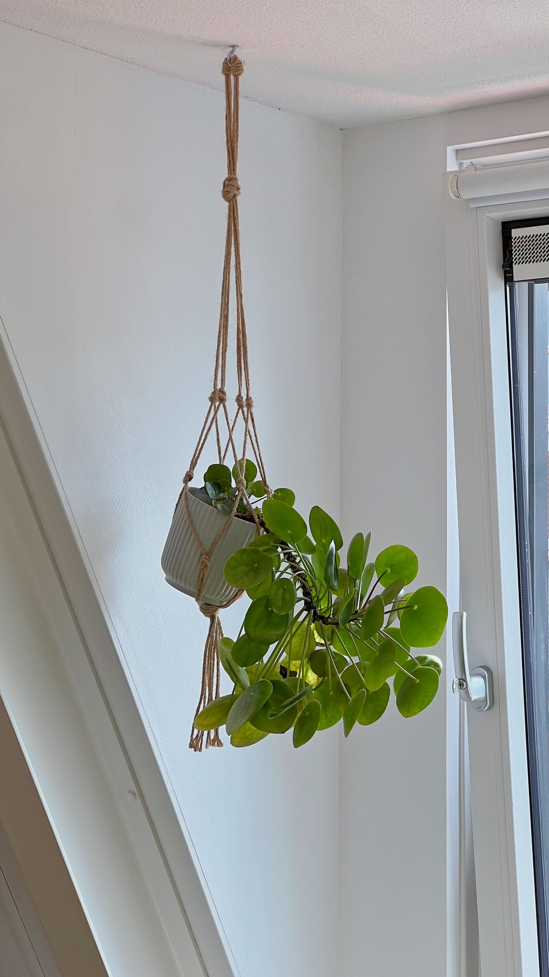 Foto 15 van Rotterdamseweg 85-C