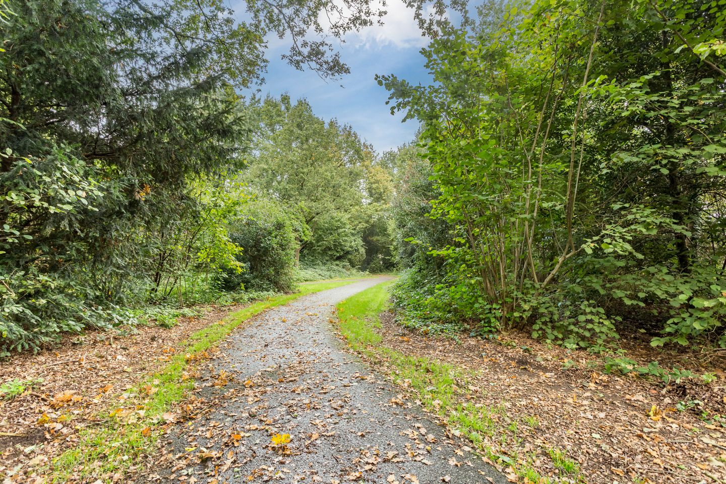 Foto 40 van Knibbelakker 62