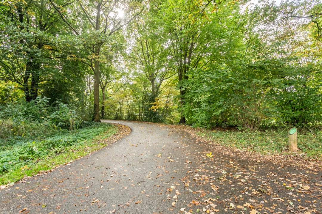 Foto 41 van Knibbelakker 62