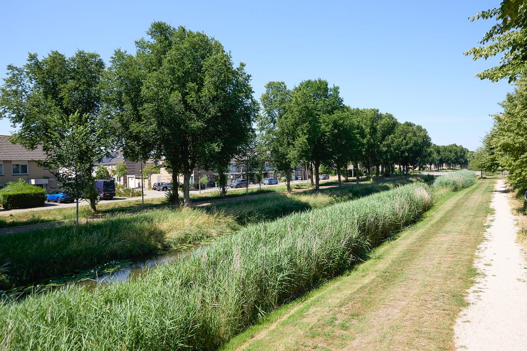 Foto 41 van Brahmsstraat 40