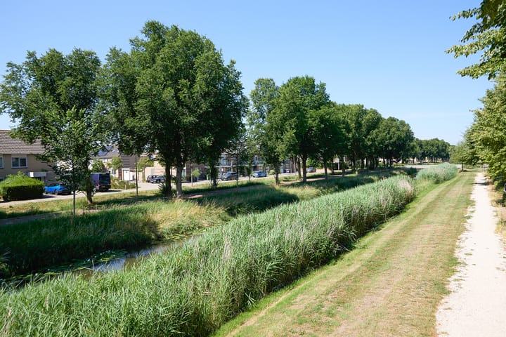 Foto 41 van Brahmsstraat 40