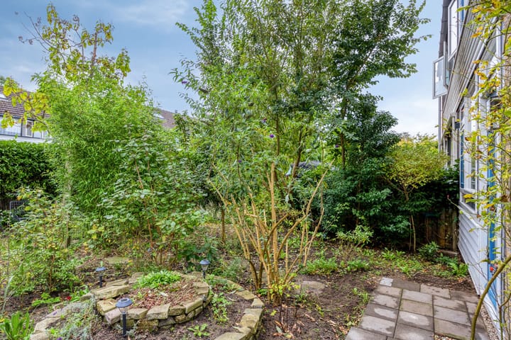 Foto 7 van Jac. P. Thijssepark 351