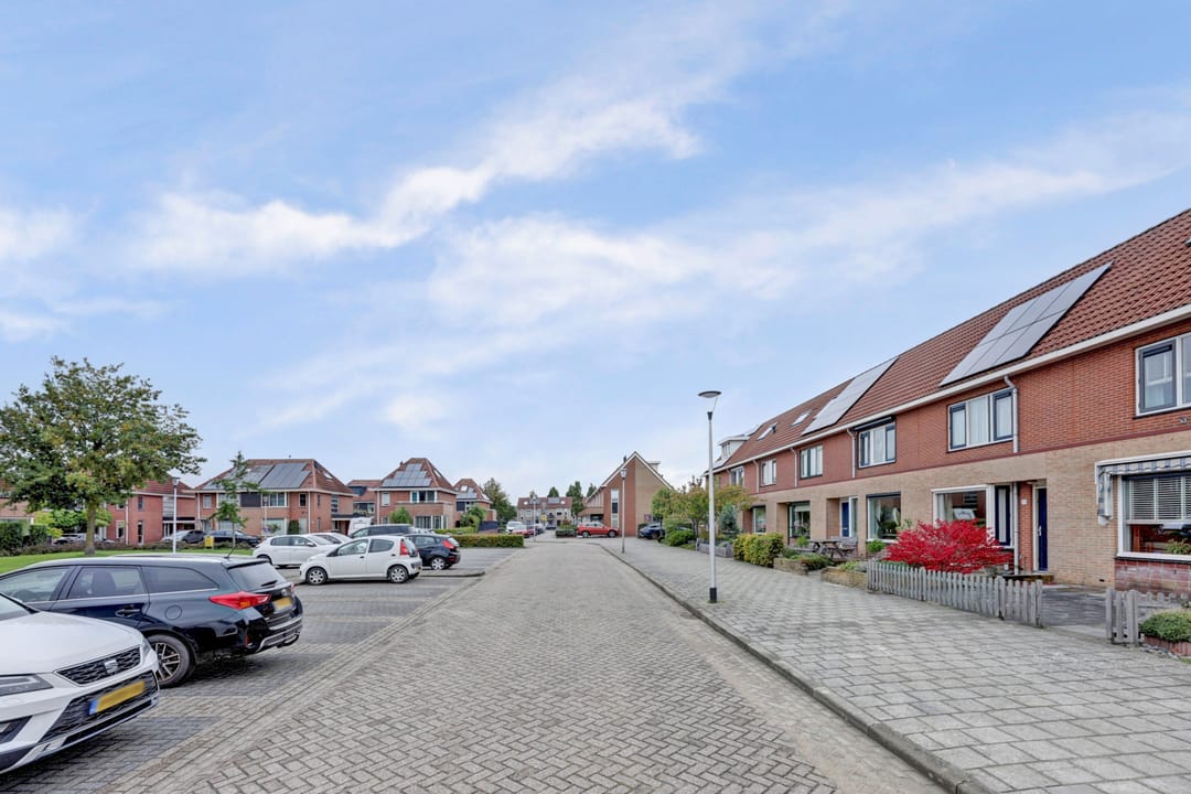 Foto 2 van Roerdomp 61