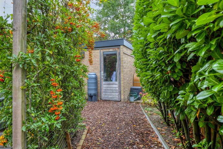 Foto 43 van Jac. P. Thijssepark 351