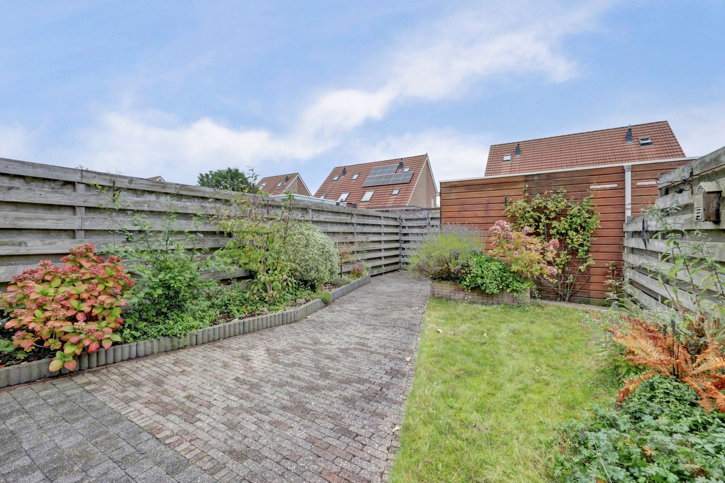 Foto 5 van Roerdomp 61